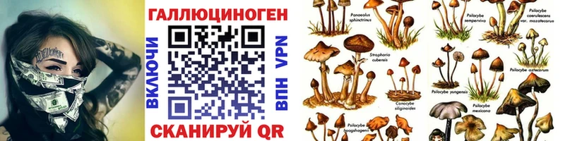 Псилоцибиновые грибы Psilocybe  Купить где  Кашира 